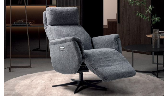 DELCHE - Fauteuil relaxation 2 moteurs  