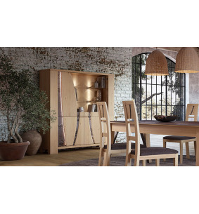 Orthez - Grande vitrine 4 portes avec éclairage 