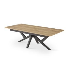 XXL - Table de séjour extensible 